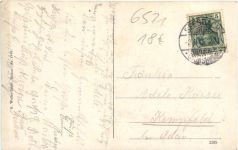 Waldpartie im Soonwald