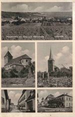Weisenheim am Berg an der Weinstrasse