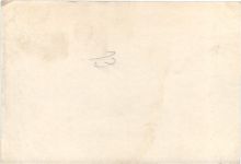 Erotik - Frau - Photo