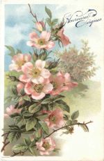 Ostern - Blumen