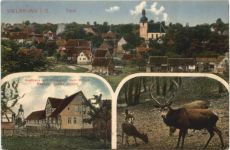 Vielbrunn im Odenwald - Gasthaus zum Hirsch