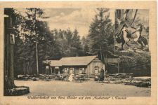 Waldwirtschaft auf dem Fuchstanz im Taunus