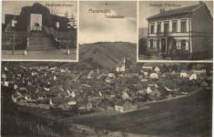 Monzingen