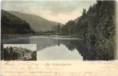 Der Eckbachweiher - Neuleiningen