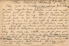 Maximilansau Rhein Maxau