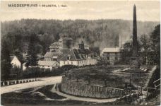 Mägdesprung im Selketal