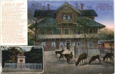 Försterei Dambachhaus bei Thale