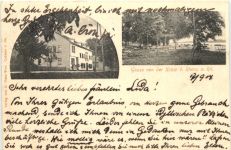 Gruss von der Kripp bei Rhens am Rhein