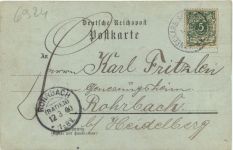 Gruss aus Neckarbischofsheim - Litho