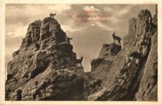 Stellingen - Carl Hagenbecks Tierpark