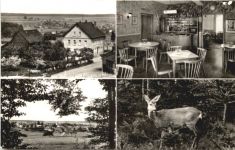 Ellern - Gasthaus Waldlust