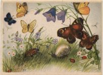 Schnecke - Maikäfer - Schmetterling