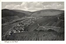 Zeltingen an der Mosel