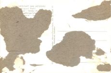 Kinheim an der Mosel - Pohls Metzgerei