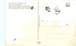 Karden Mosel - Gasthof zum Schwanen