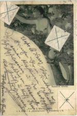 Friedberg i. H. Zur Schillerlinde