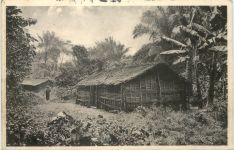 Dorf im Urwald auf dem Kamerunberg - Kolonien