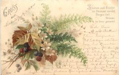 Blumen und Früchte