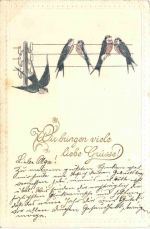 Grüsse - Vögel - Prägekarte