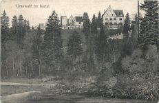 Grünwald im Isartal