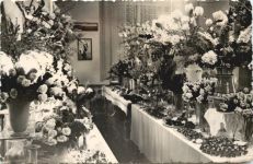 Sebnitz - Kunstblumenschau