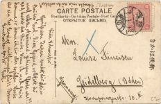 Cherry blossoms Yokohame Park - Japan