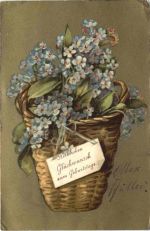 Geburtstag - Blumen