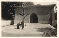 Berlin - Bärenzwinger im Köllnischen Park