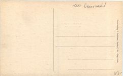 Berlin - Grunewald - Am Grunewaldsee