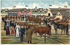 Viehmarkt - Litho
