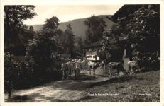 Ried bei Benediktbeuern