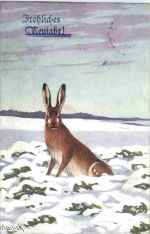 Neujahr - Hase - Künstler Ak Mailick