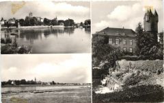 Steinheim Main