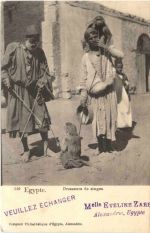 Egypt - Dresseurs de singes