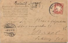 R. Virchow - Politiker