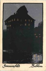 Frauenfeld - Schloss