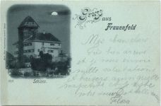 Gruss aus Frauenfeld - Schloss