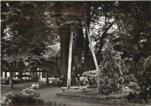 Annaberg - Buchholz - 500 Jahre alte Linde