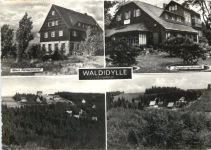 Waldidylle im Erzgebirge