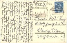 Karl Marx Stadt - Versteinerter Wald am Museum