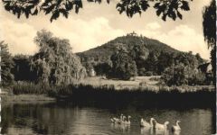 Görlitz - Landeskrone