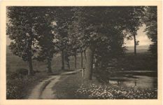 Cunewalde - Eichenweg