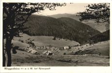 Muggenbrunn Schwarzwald - Todtnau