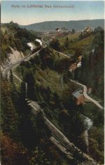 Partei im Löffeltal Schwarzwald