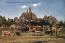 Hamburg - Stellingen - Carl Hagenbecks Tierpark