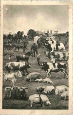 Hamburg - Altona - Ausstellung