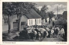 Nodseebad Büsum - Alte Dorfstrasse