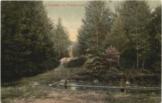 Harburg - Rehtränke im Kleckerwald
