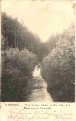 HArburg - Weg in der Emme