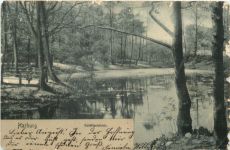 Harburg - Goldfischteich